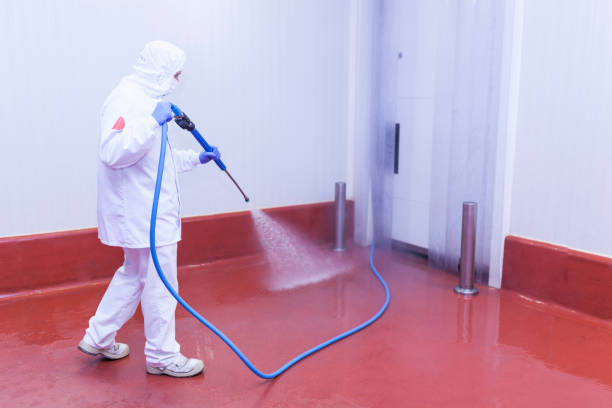Reliable Sage, CA Pressure Washing Services Solutions
